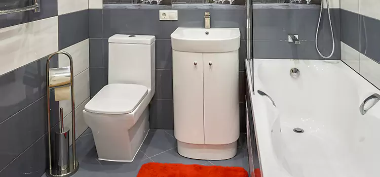 Hansgrohe Shaving Mirror Atascadero